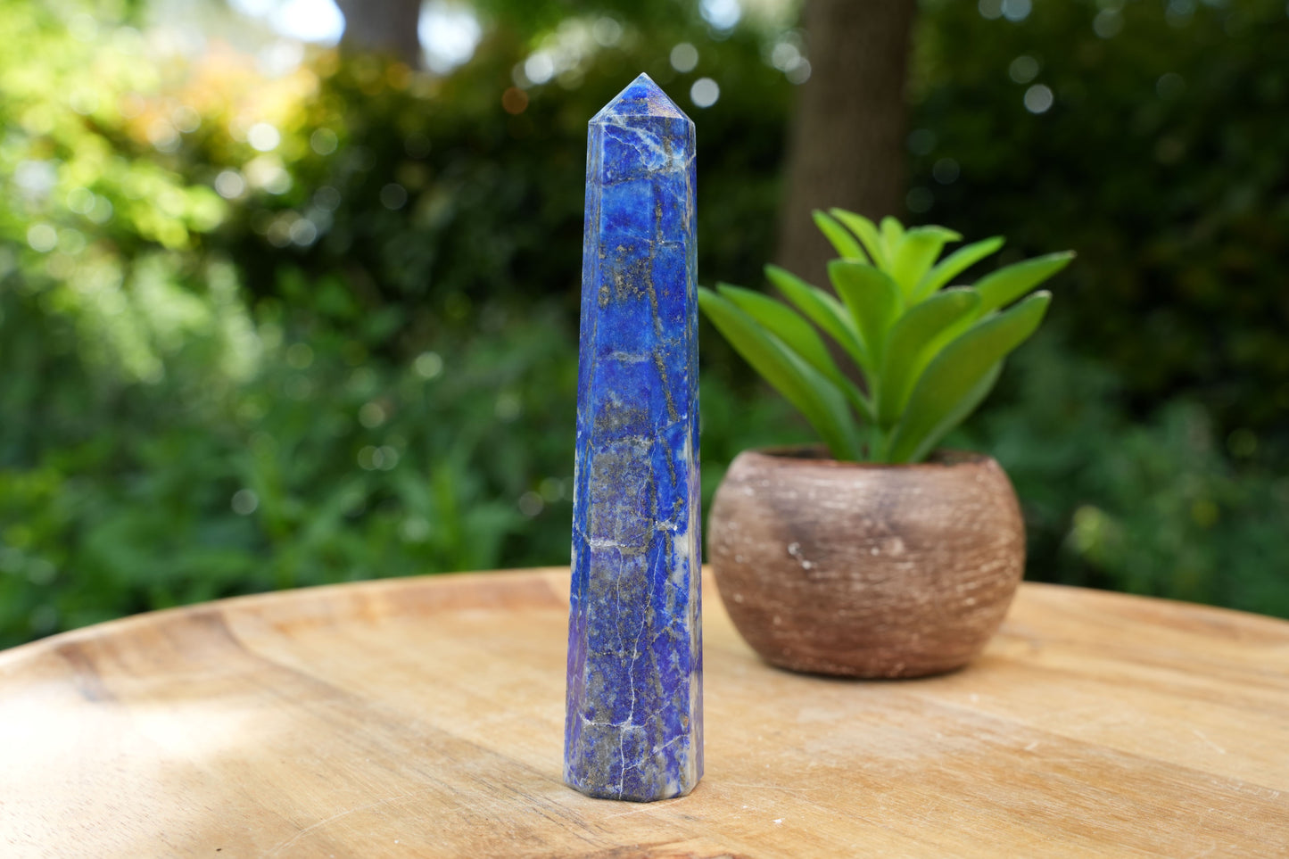 Lapis Lazuli Points | Reiki Infused