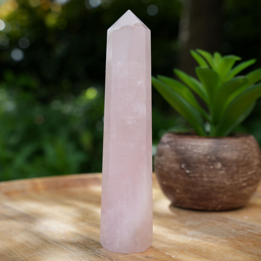 Rose Quartz Points | Reiki Infused