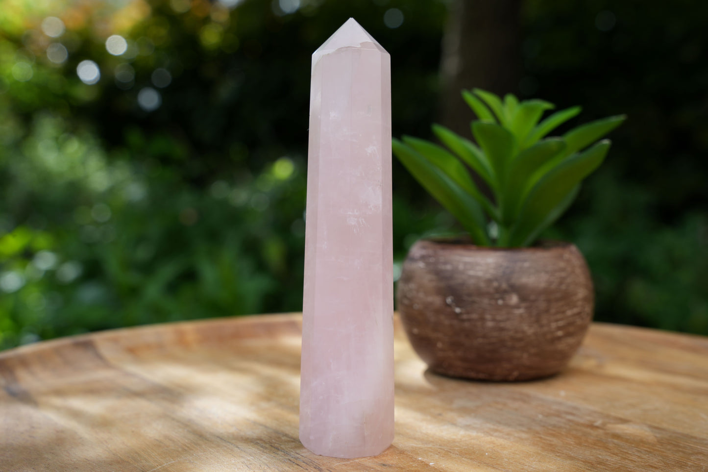 Rose Quartz Points | Reiki Infused