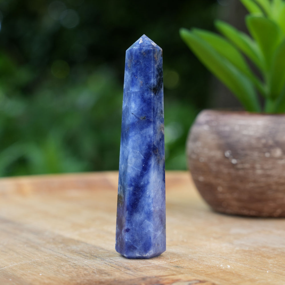 Sodalite Points | Reiki Infused