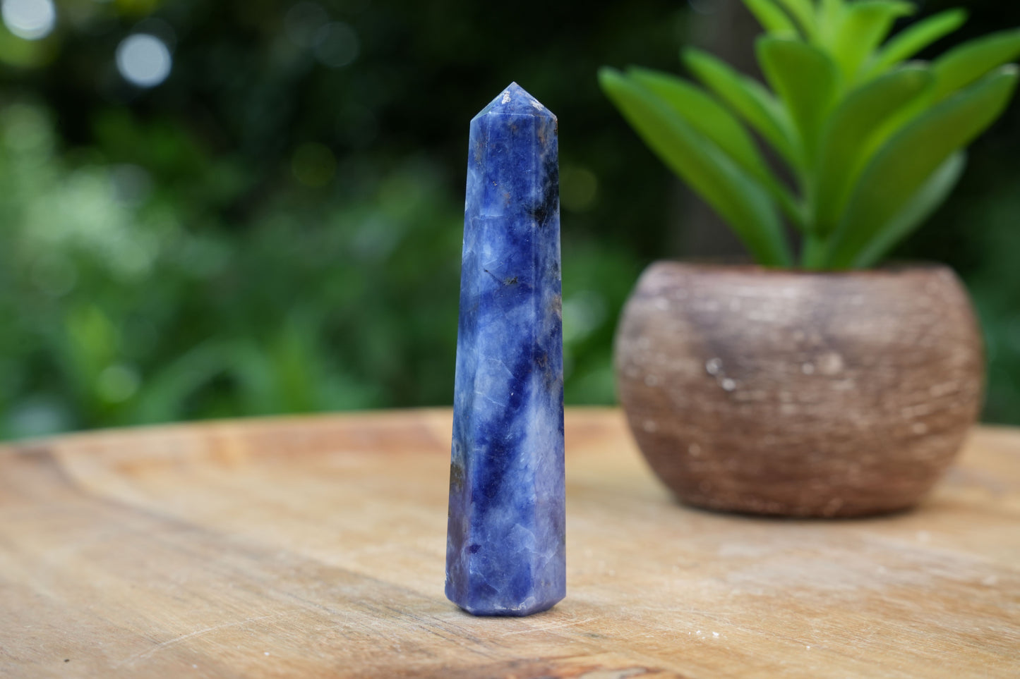 Sodalite Points | Reiki Infused