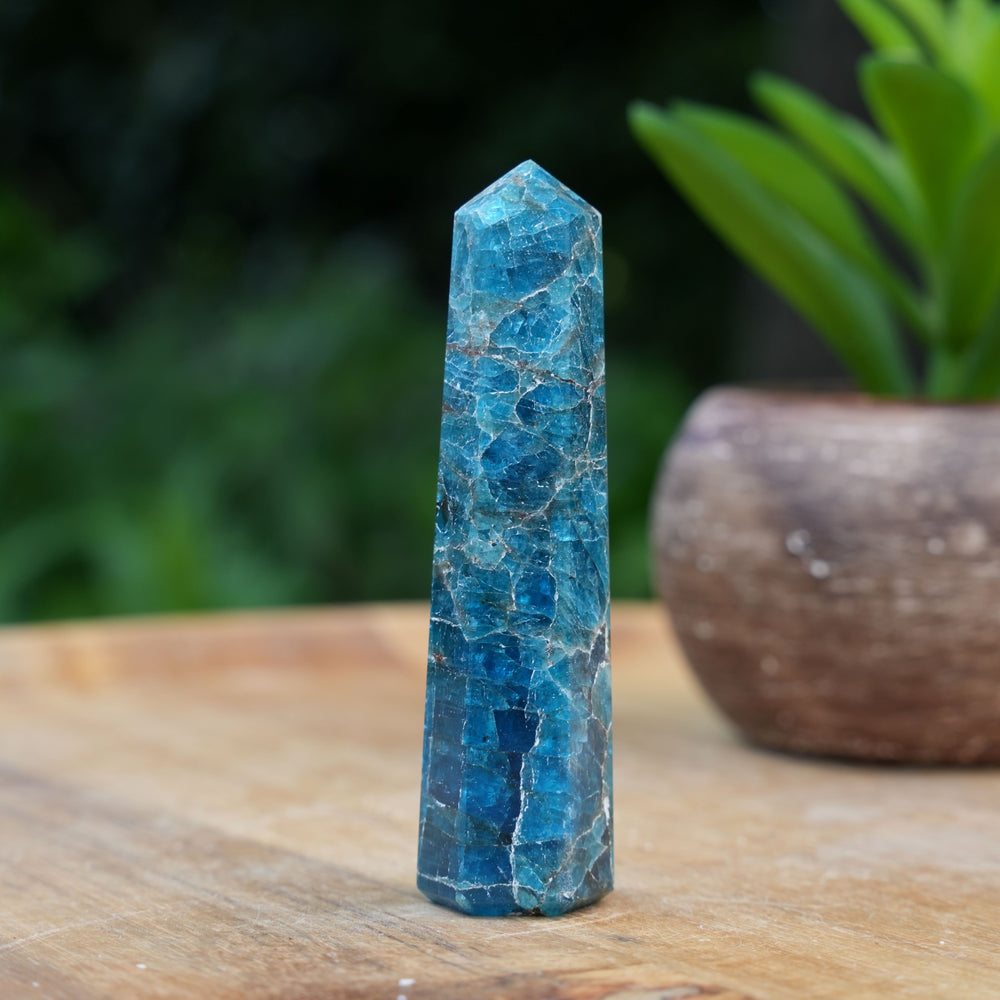 Apatite Points | Reiki Infused