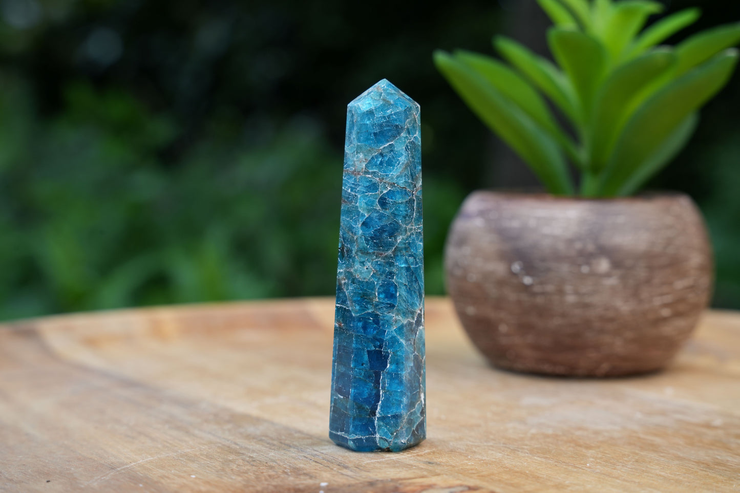 Apatite Points | Reiki Infused