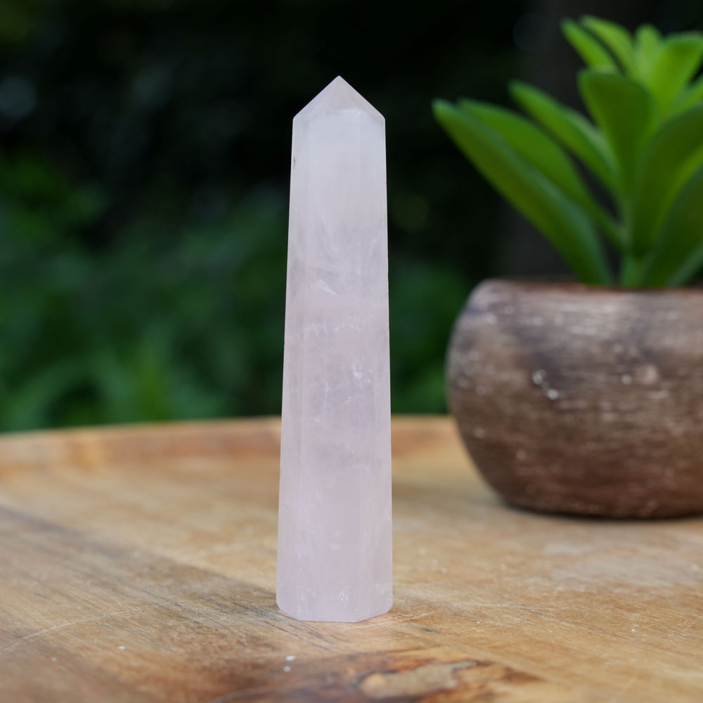 Rose Quartz Points | Reiki Infused