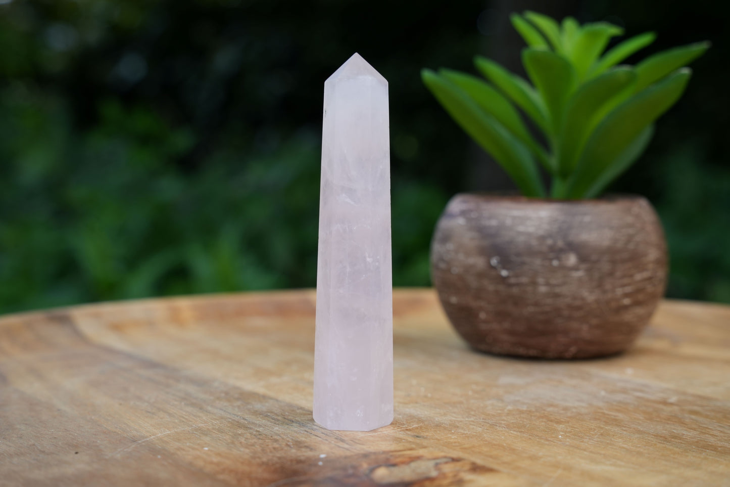 Rose Quartz Points | Reiki Infused