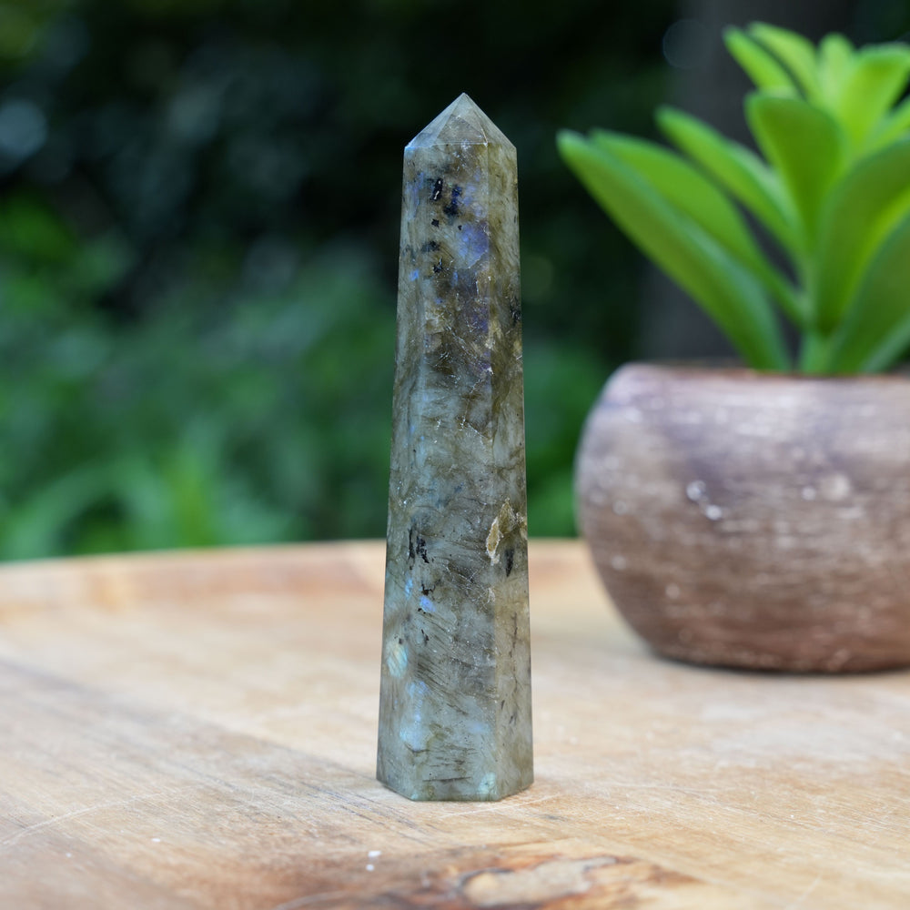 Labradorite Points | Reiki Infused