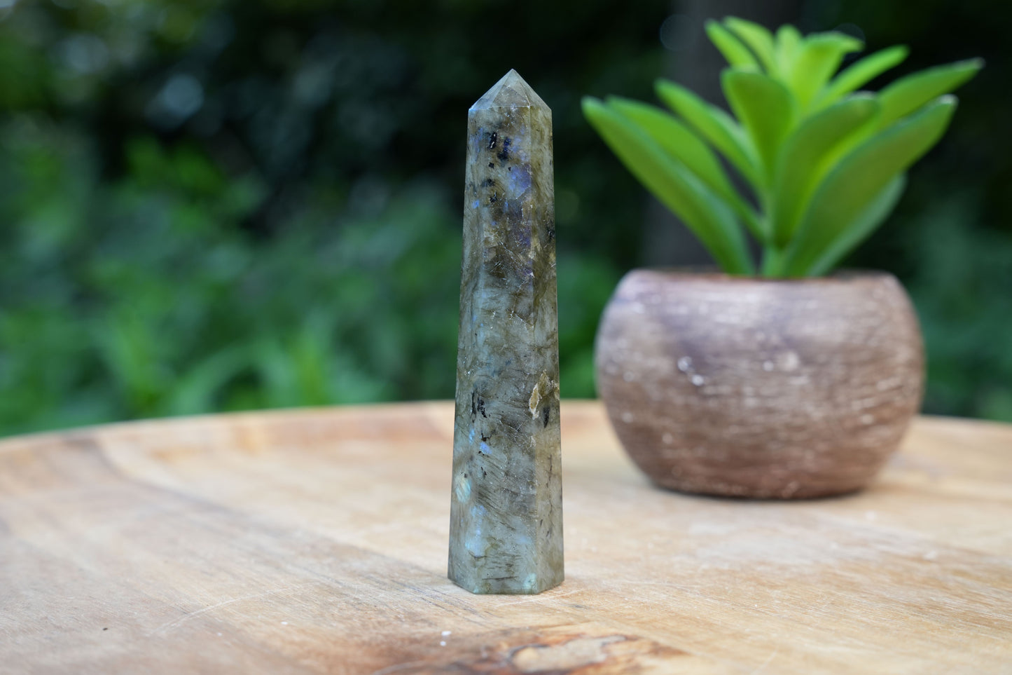 Labradorite Points | Reiki Infused