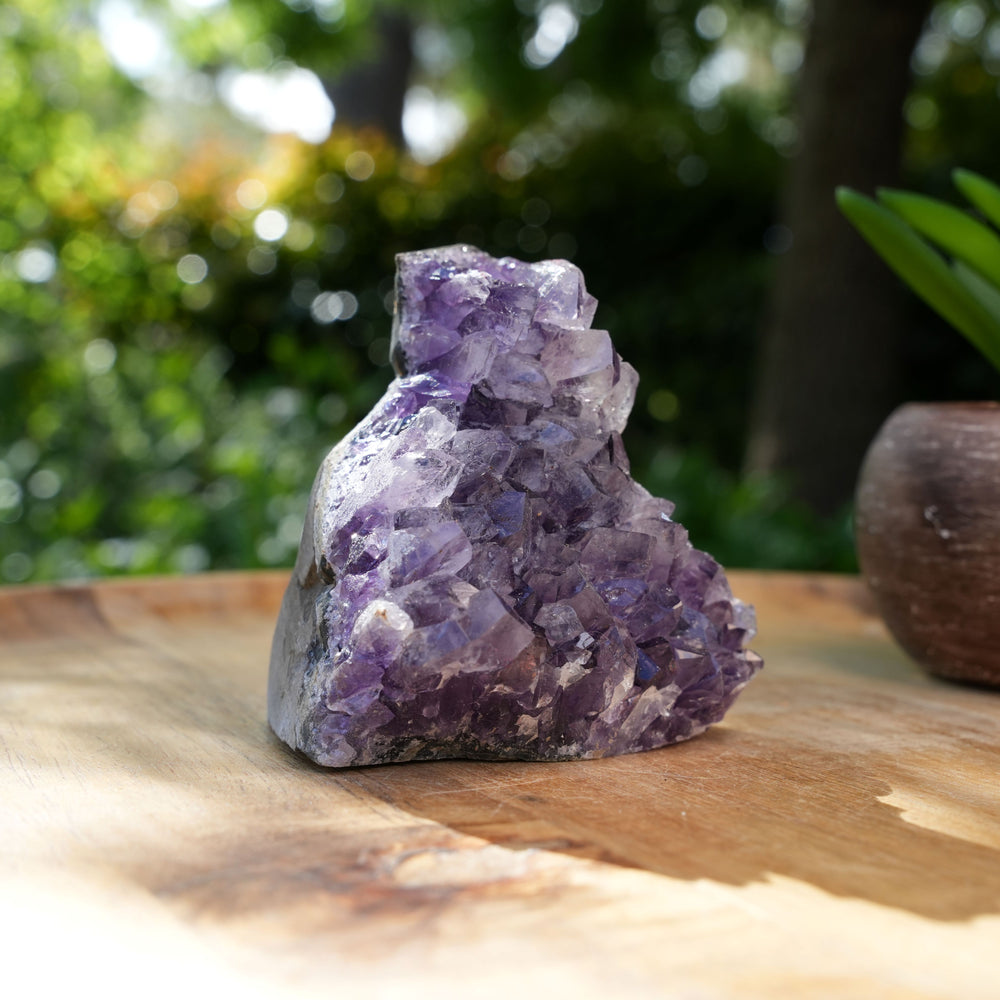 Amethyst Cluster Caves | AAA Grade | Reiki Infused