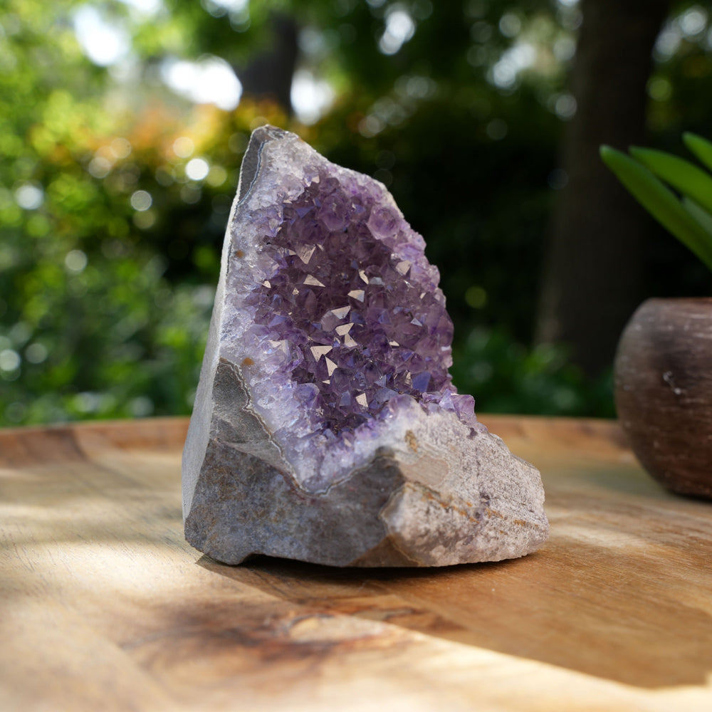 
                  
                    Amethyst Cluster Caves | AAA Grade | Reiki Infused
                  
                