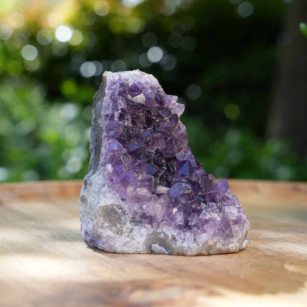 
                  
                    Amethyst Cluster Caves | AAA Grade | Reiki Infused
                  
                