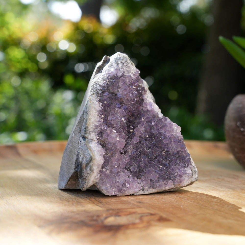 
                  
                    Amethyst Cluster Caves | AAA Grade | Reiki Infused
                  
                