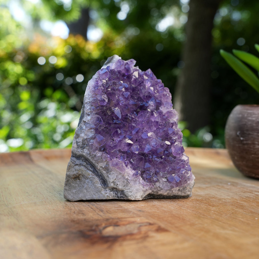 
                  
                    Amethyst Cluster Caves | AAA Grade | Reiki Infused
                  
                