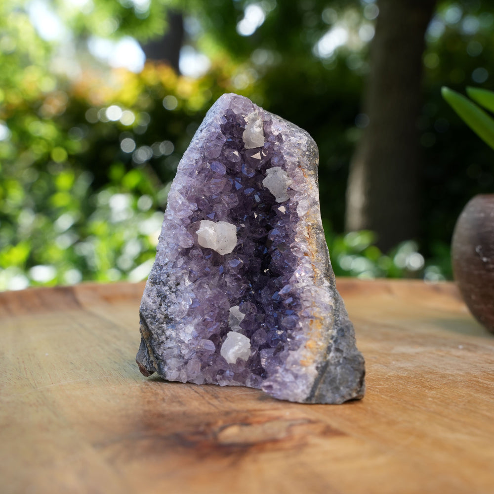 
                  
                    Amethyst Cluster Caves | AAA Grade | Reiki Infused
                  
                