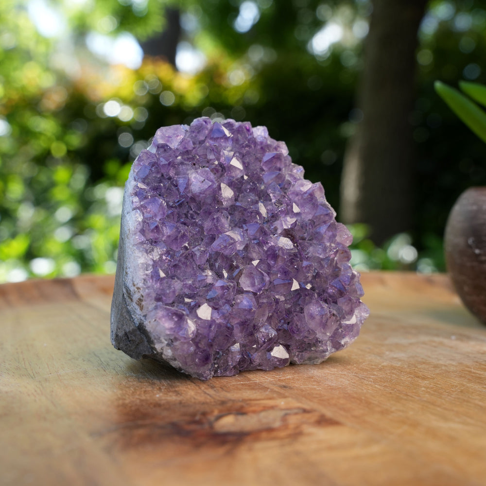 
                  
                    Amethyst Cluster Caves | AAA Grade | Reiki Infused
                  
                