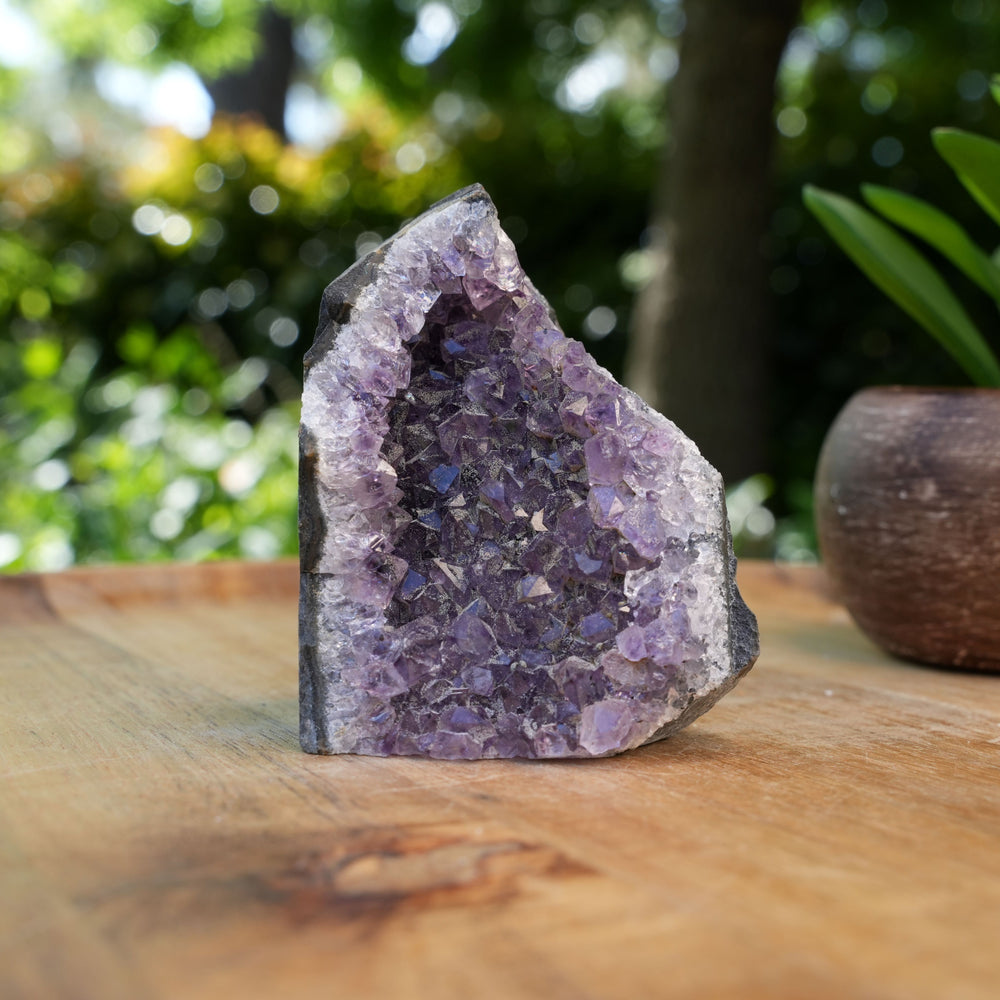 
                  
                    Amethyst Cluster Caves | AAA Grade | Reiki Infused
                  
                