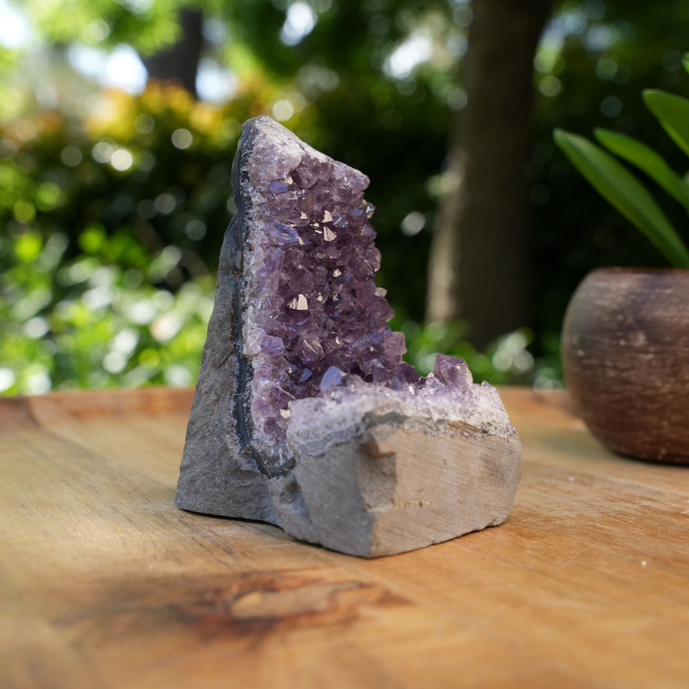 
                  
                    Amethyst Cluster Caves | AAA Grade | Reiki Infused
                  
                