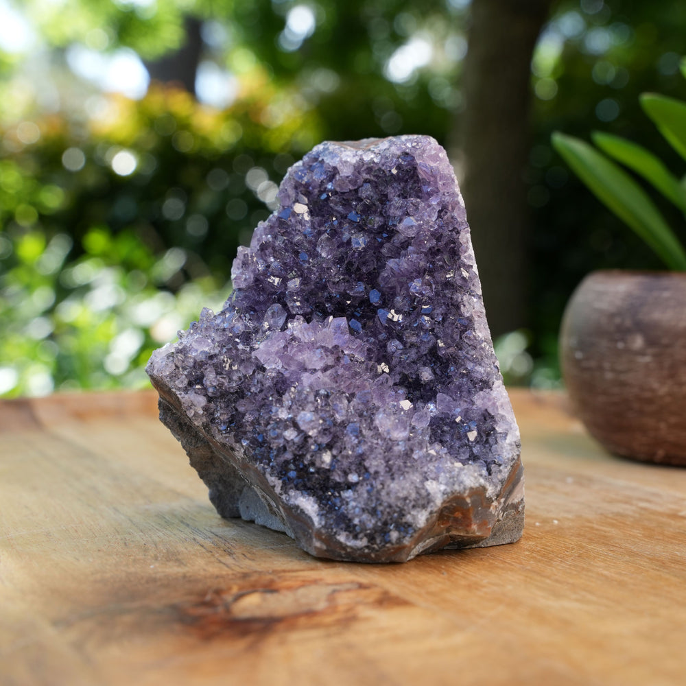 
                  
                    Amethyst Cluster Caves | AAA Grade | Reiki Infused
                  
                