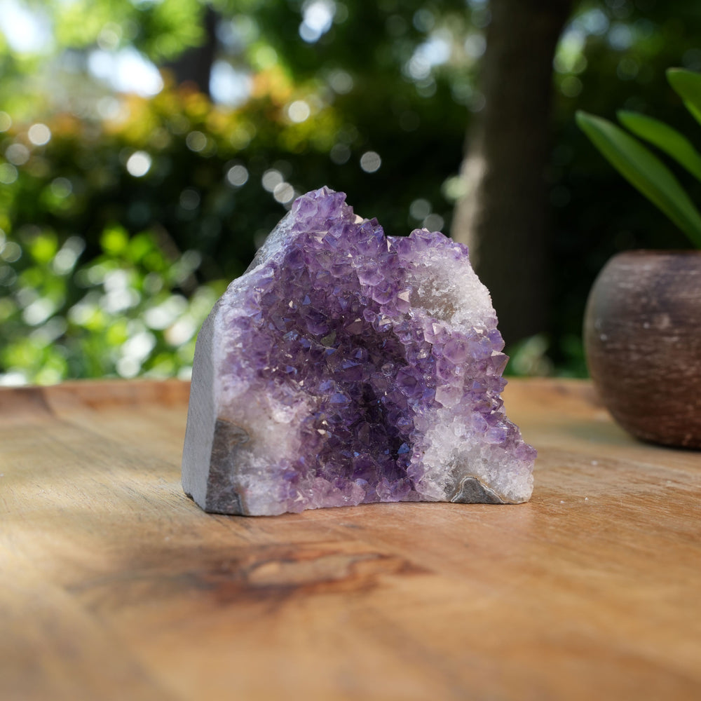 
                  
                    Amethyst Cluster Caves | AAA Grade | Reiki Infused
                  
                