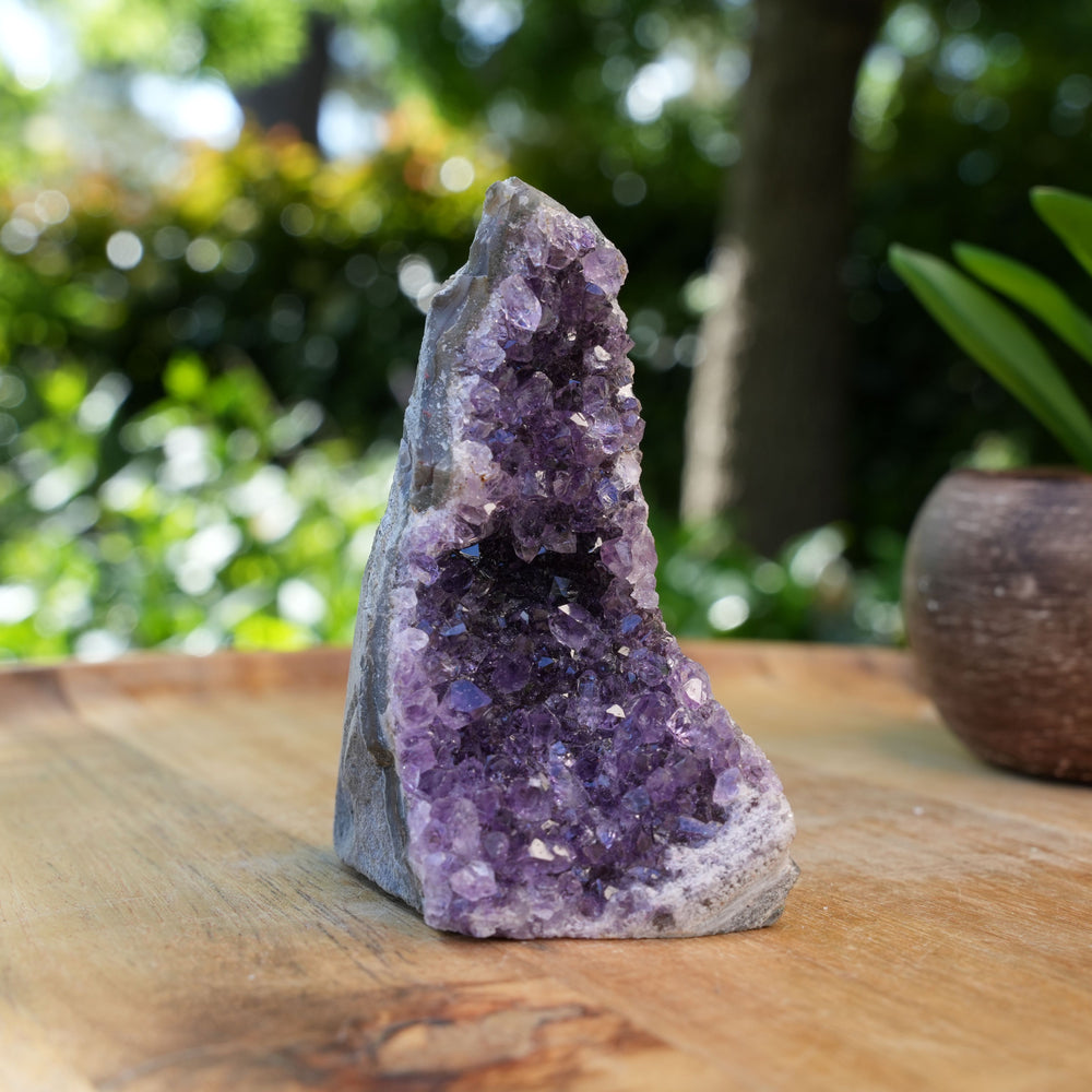 
                  
                    Amethyst Cluster Caves | AAA Grade | Reiki Infused
                  
                