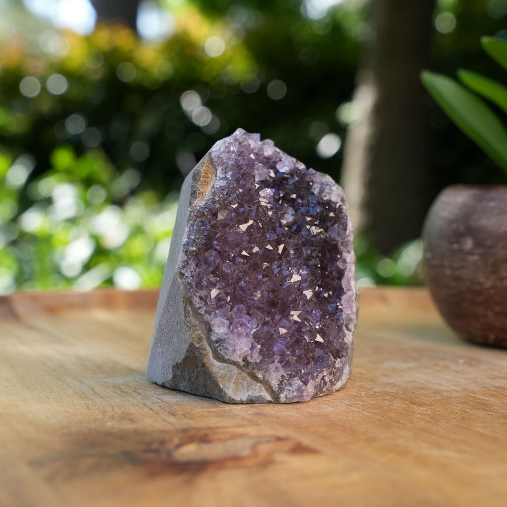 
                  
                    Amethyst Cluster Caves | AAA Grade | Reiki Infused
                  
                