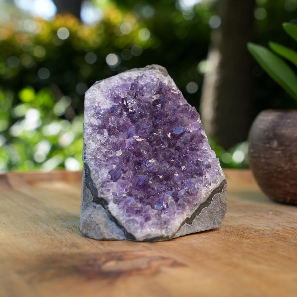 
                  
                    Amethyst Cluster Caves | AAA Grade | Reiki Infused
                  
                