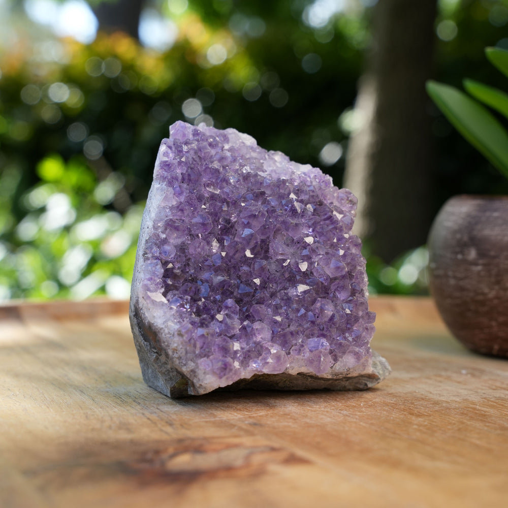 
                  
                    Amethyst Cluster Caves | AAA Grade | Reiki Infused
                  
                