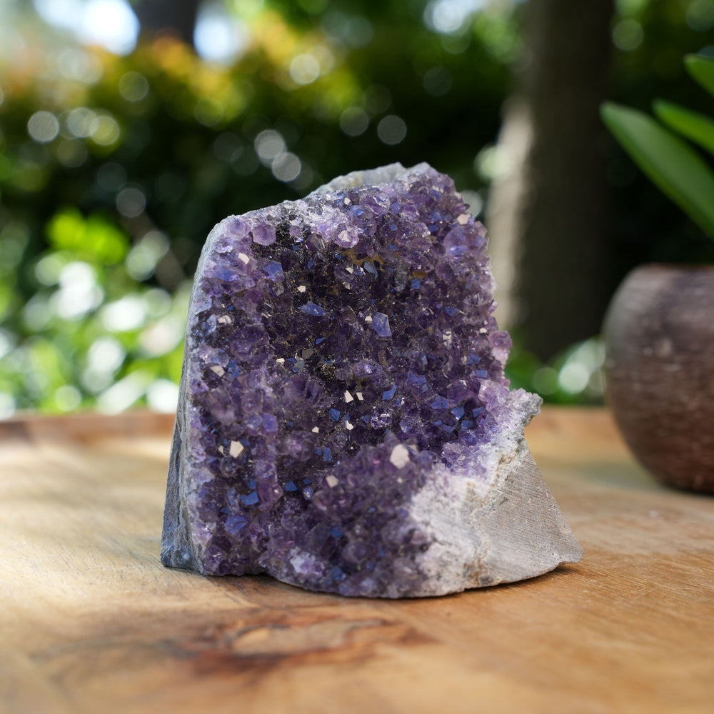 
                  
                    Amethyst Cluster Caves | AAA Grade | Reiki Infused
                  
                