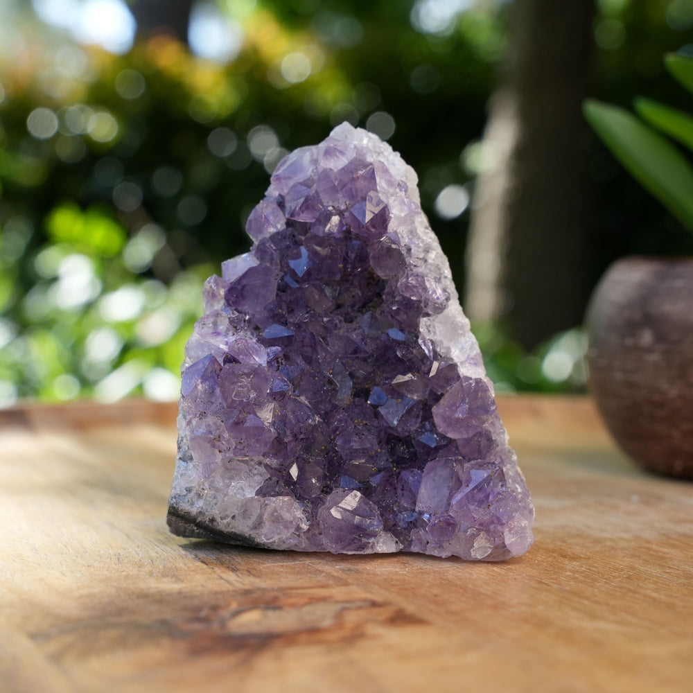 
                  
                    Amethyst Cluster Caves | AAA Grade | Reiki Infused
                  
                