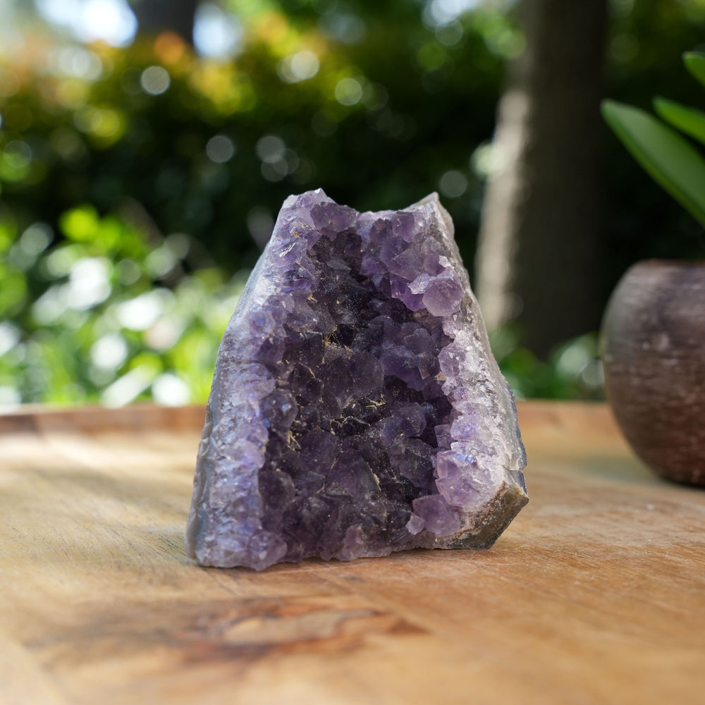 
                  
                    Amethyst Cluster Caves | AAA Grade | Reiki Infused
                  
                