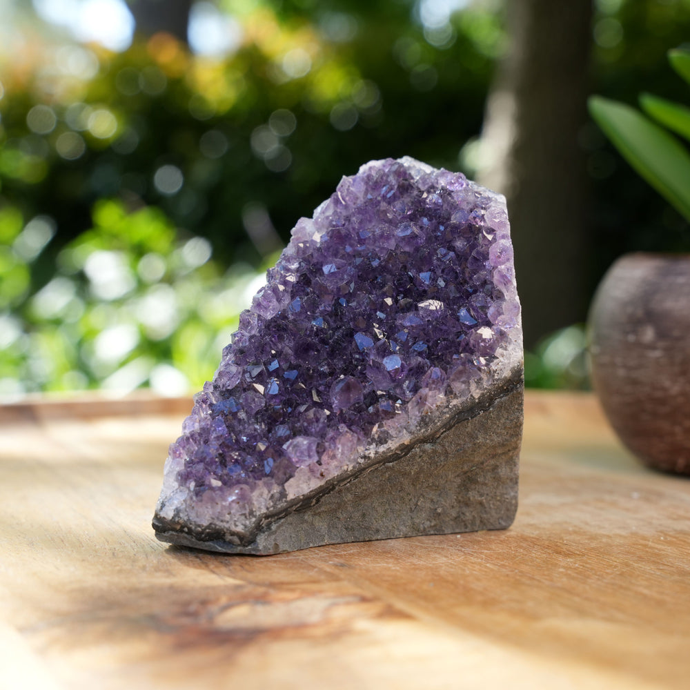 
                  
                    Amethyst Cluster Caves | AAA Grade | Reiki Infused
                  
                