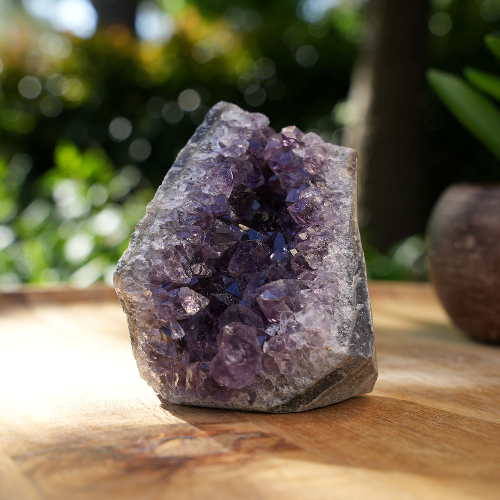 
                  
                    Amethyst Cluster Caves | AAA Grade | Reiki Infused
                  
                