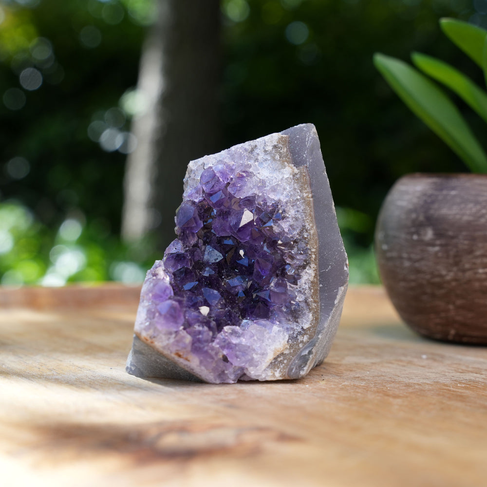 
                  
                    Amethyst Cluster Caves | AAA Grade | Reiki Infused
                  
                