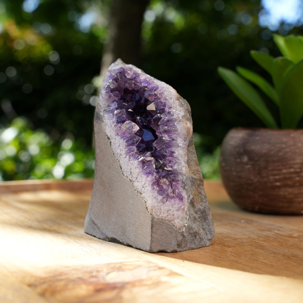 
                  
                    Amethyst Cluster Caves | AAA Grade | Reiki Infused
                  
                