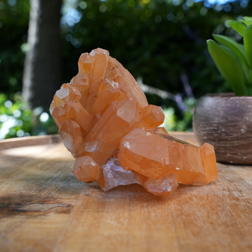 
                  
                    Tangerine Quartz Clusters | A Grade | Reiki Infused
                  
                