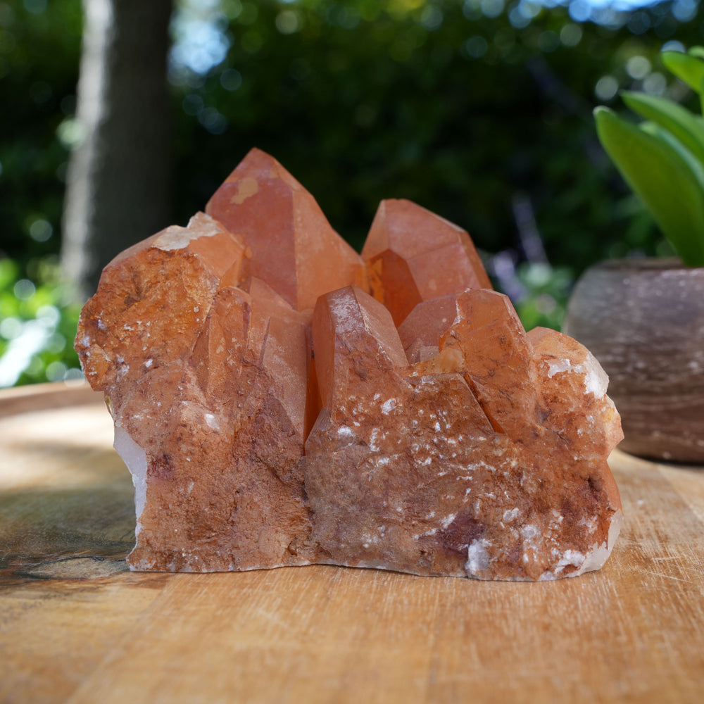 Tangerine Quartz Clusters | A Grade | Reiki Infused