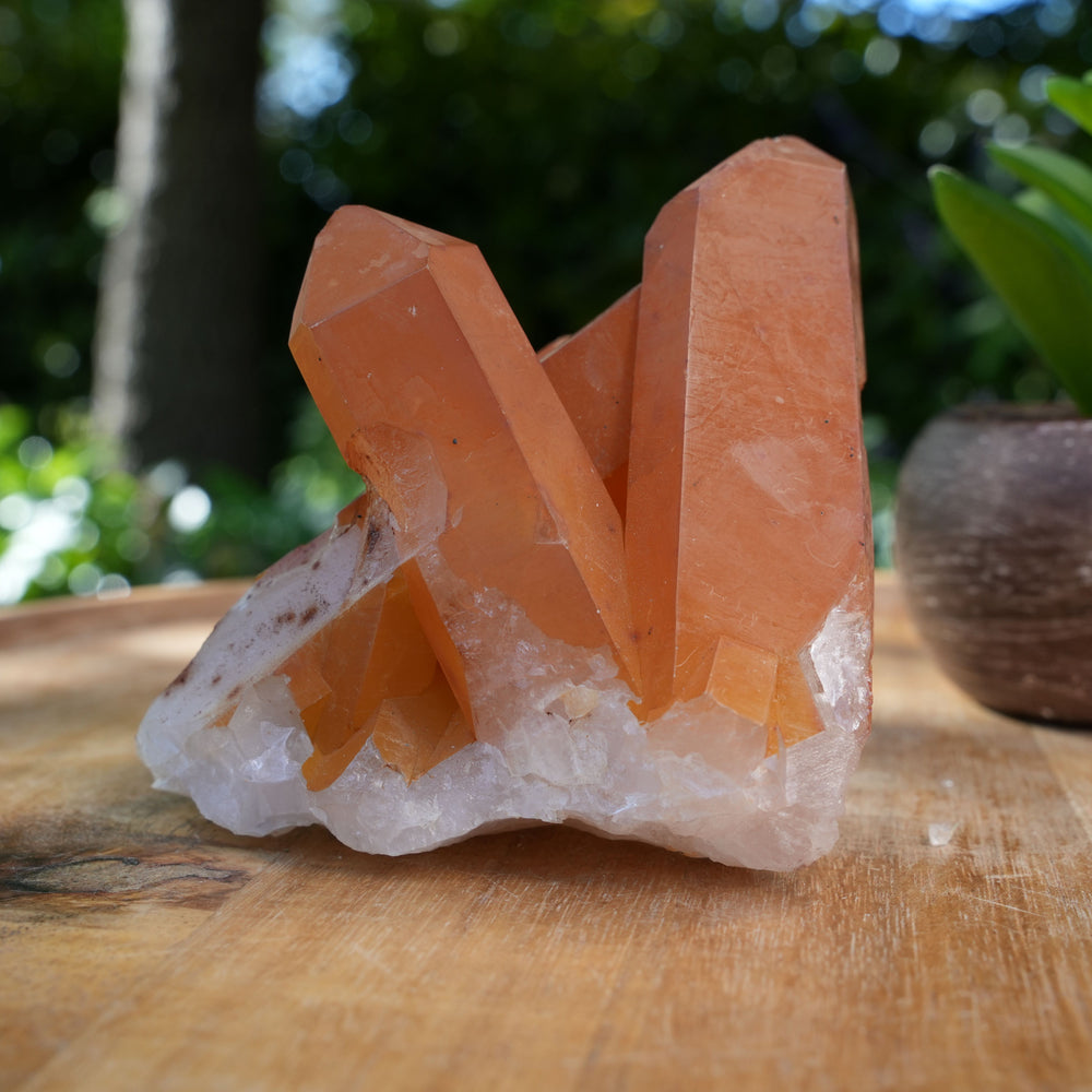 Tangerine Quartz Clusters | A Grade | Reiki Infused