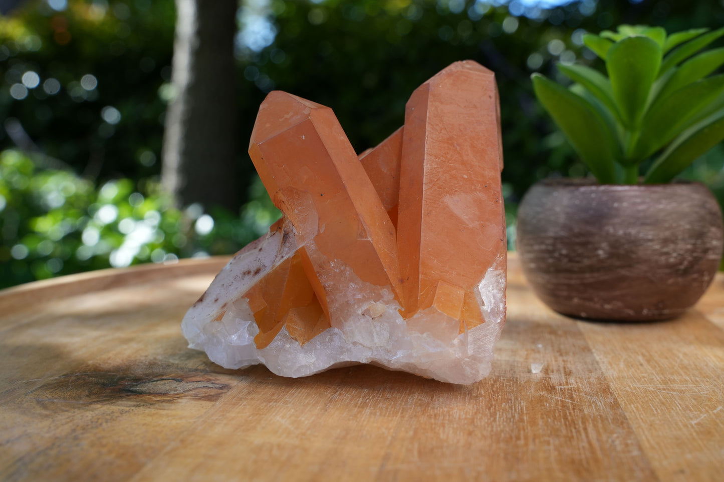 Tangerine Quartz Clusters | A Grade | Reiki Infused