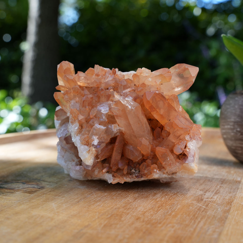 
                  
                    Tangerine Quartz Clusters | A Grade | Reiki Infused
                  
                