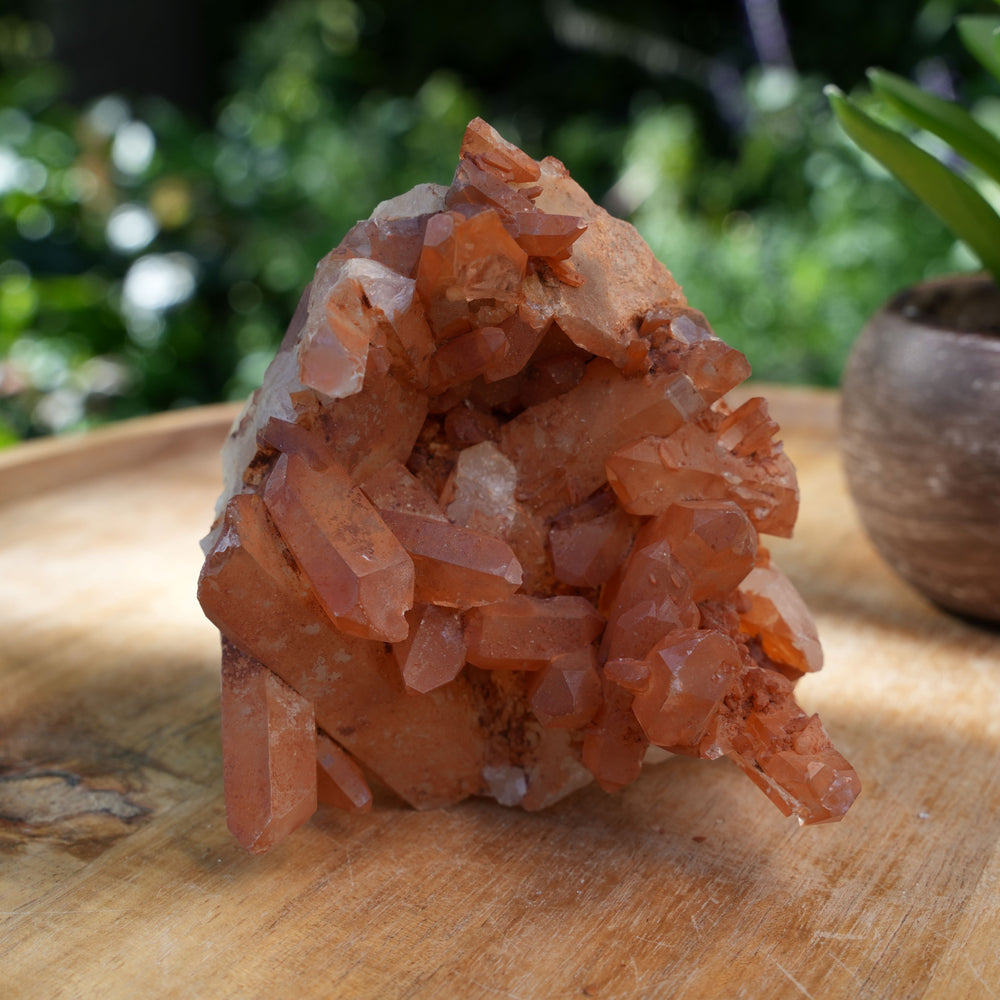 
                  
                    Tangerine Quartz Clusters | A Grade | Reiki Infused
                  
                