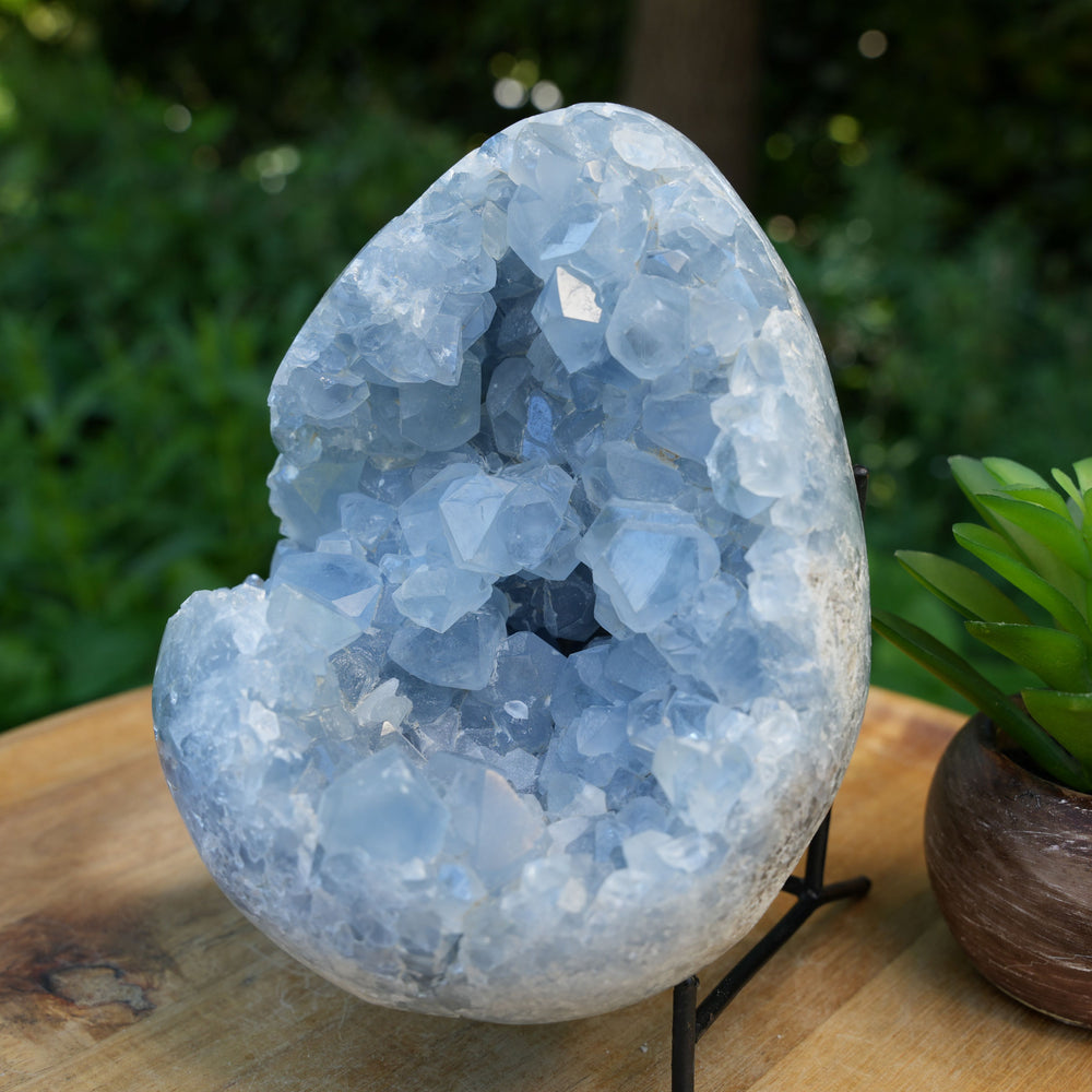 Celestite Cluster Egg | AAA Grade | Reiki Infused