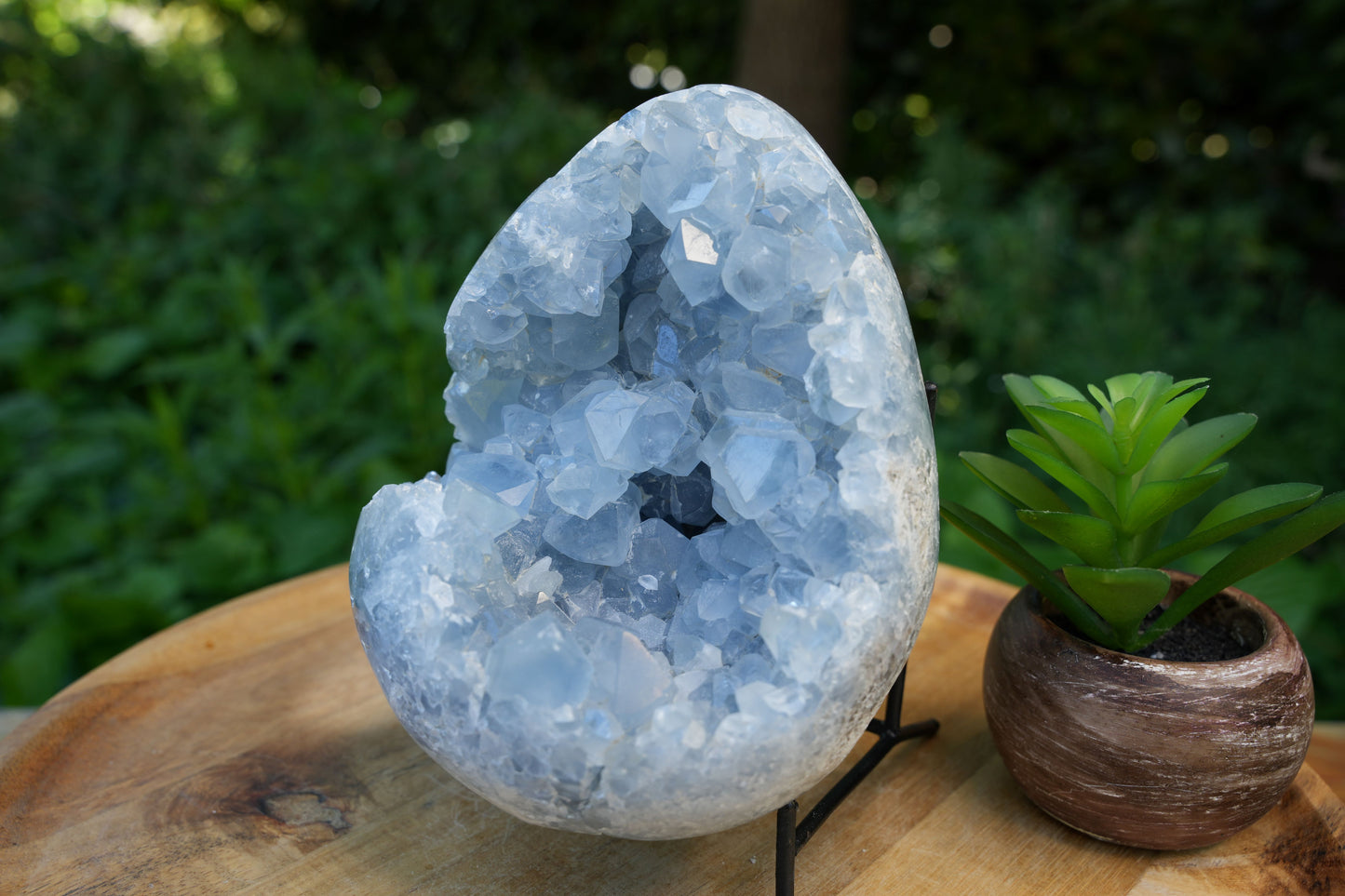 Celestite Cluster Egg | AAA Grade | Reiki Infused