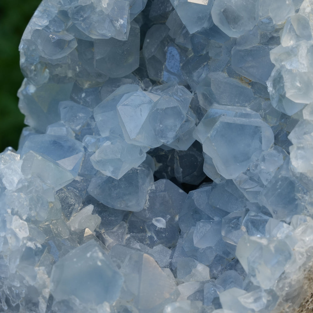 Celestite Cluster Egg | AAA Grade | Reiki Infused