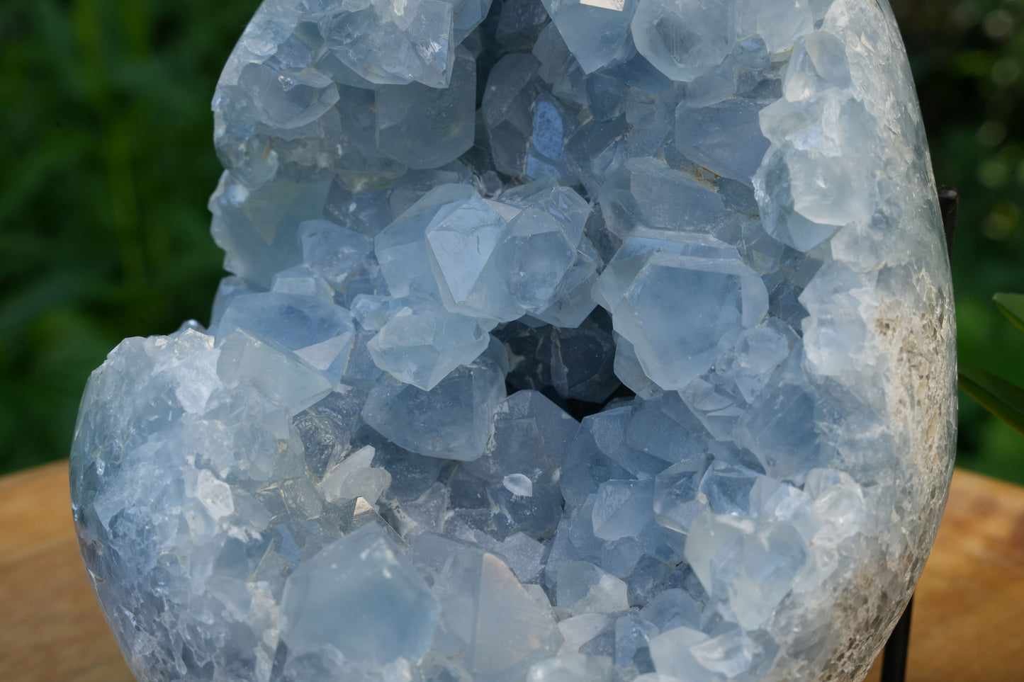 Celestite Cluster Egg | AAA Grade | Reiki Infused