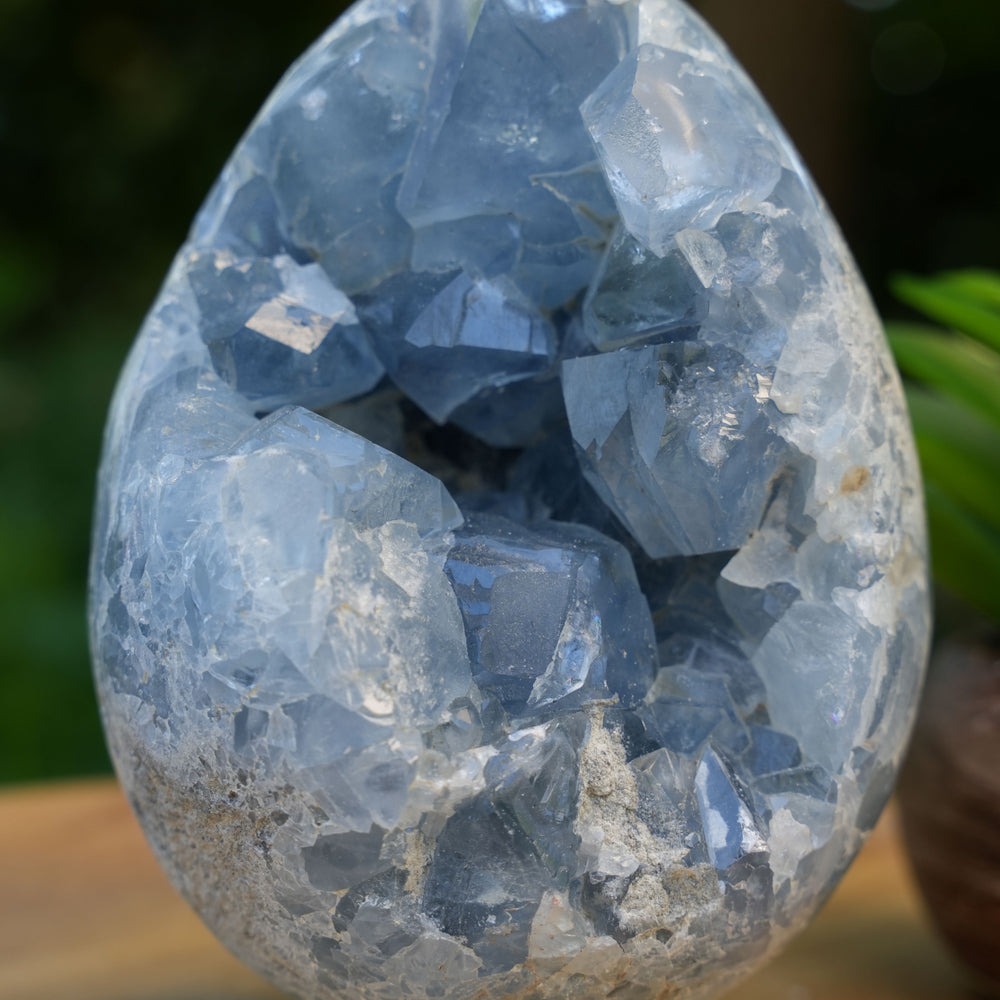 
                  
                    Celestite Cluster Egg | AAA Grade | Reiki Infused
                  
                