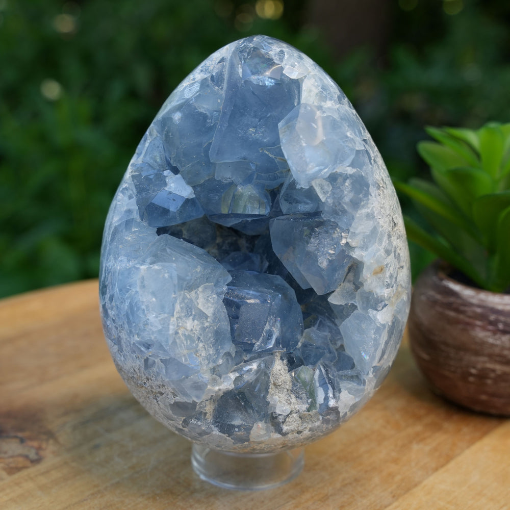 
                  
                    Celestite Cluster Egg | AAA Grade | Reiki Infused
                  
                