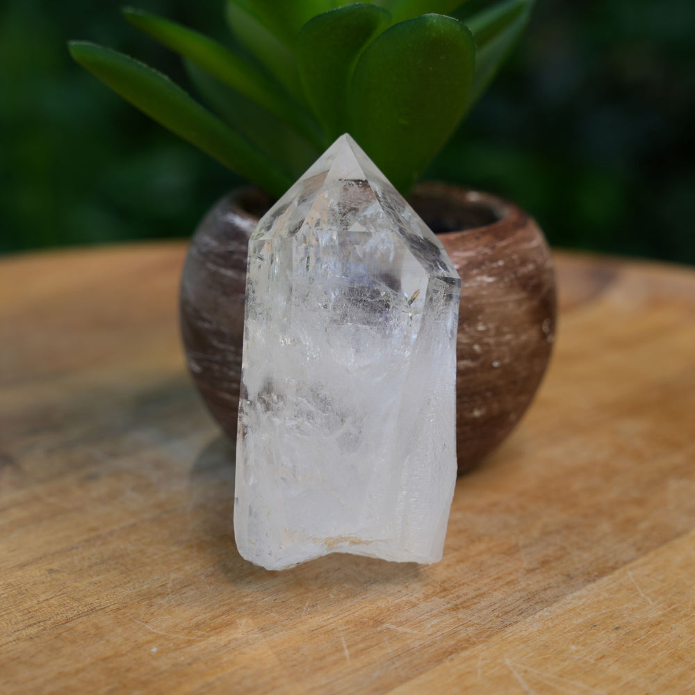 Raw Lemurian Flat Points | AAA Grade | Reiki Infused