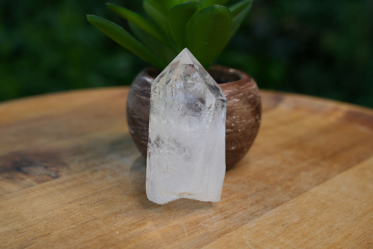 Raw Lemurian Flat Points | AAA Grade | Reiki Infused