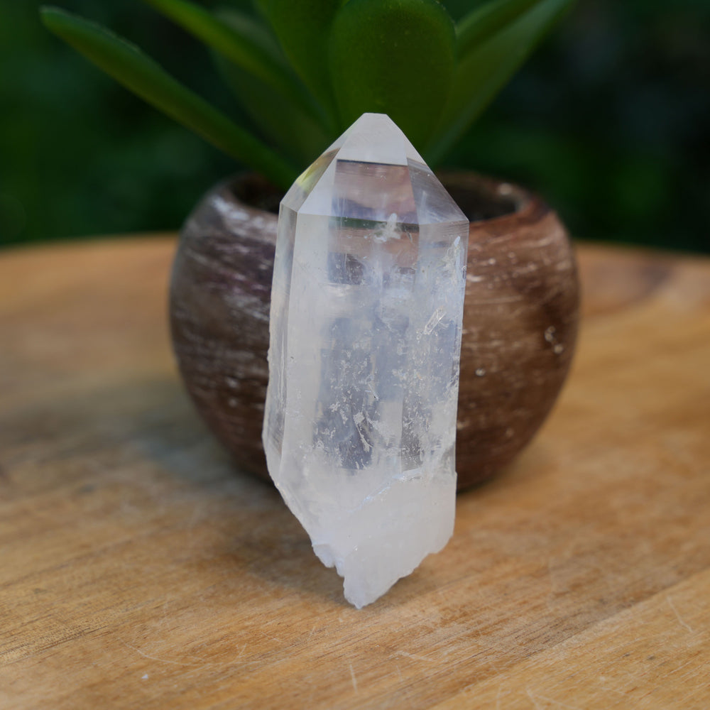 Raw Lemurian Flat Points | AAA Grade | Reiki Infused