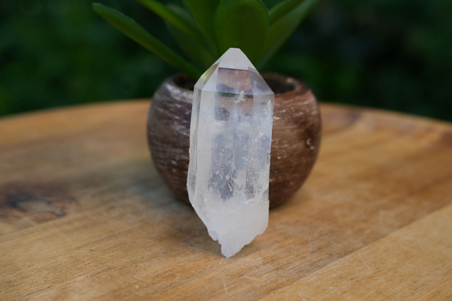 Raw Lemurian Flat Points | AAA Grade | Reiki Infused