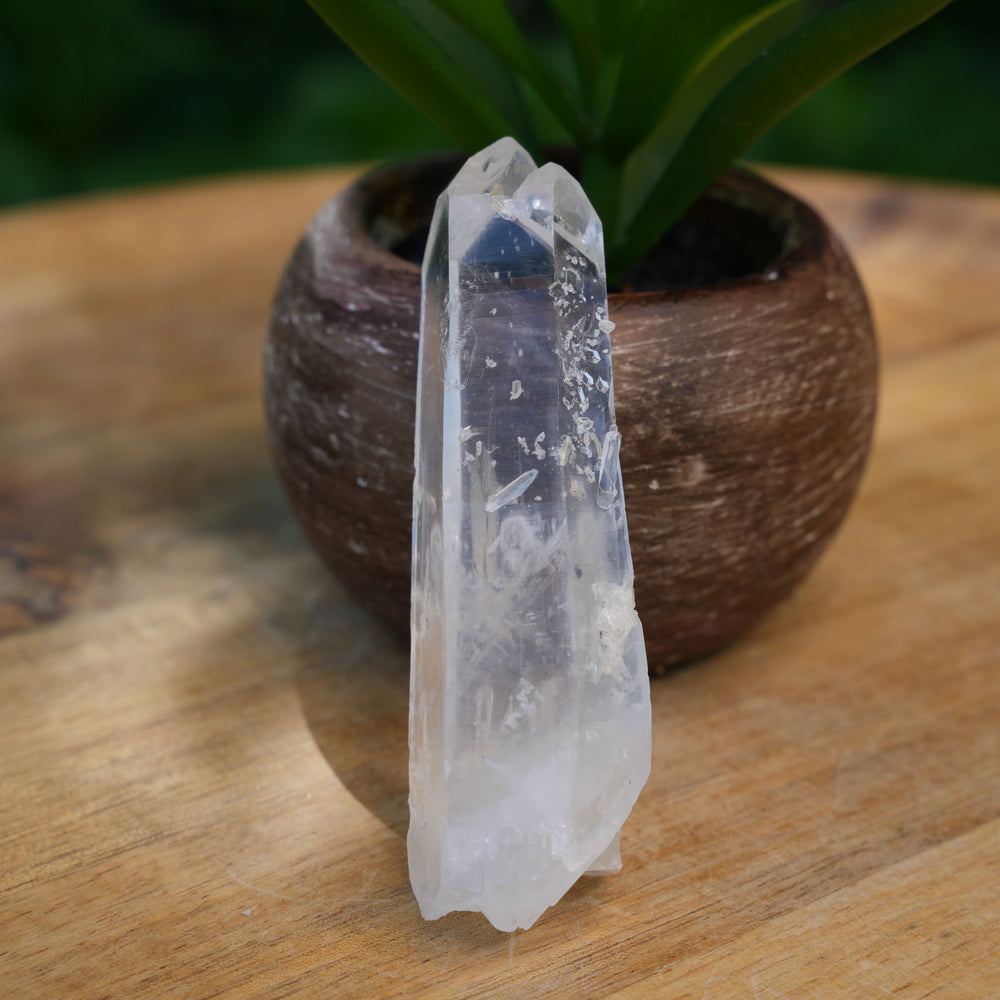 
                  
                    Raw Lemurian Flat Points | AAA Grade | Reiki Infused
                  
                